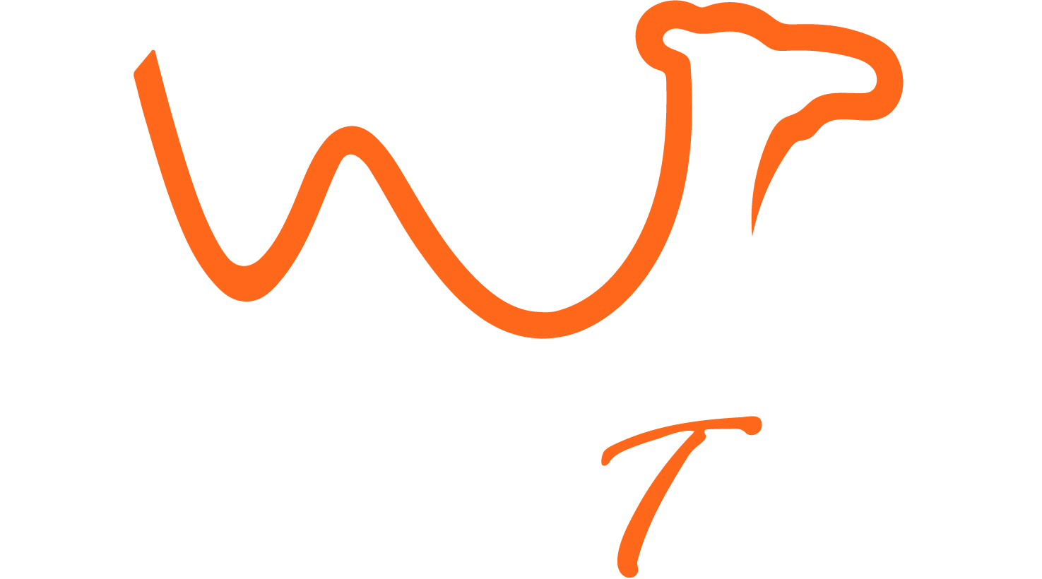 Warda Tours